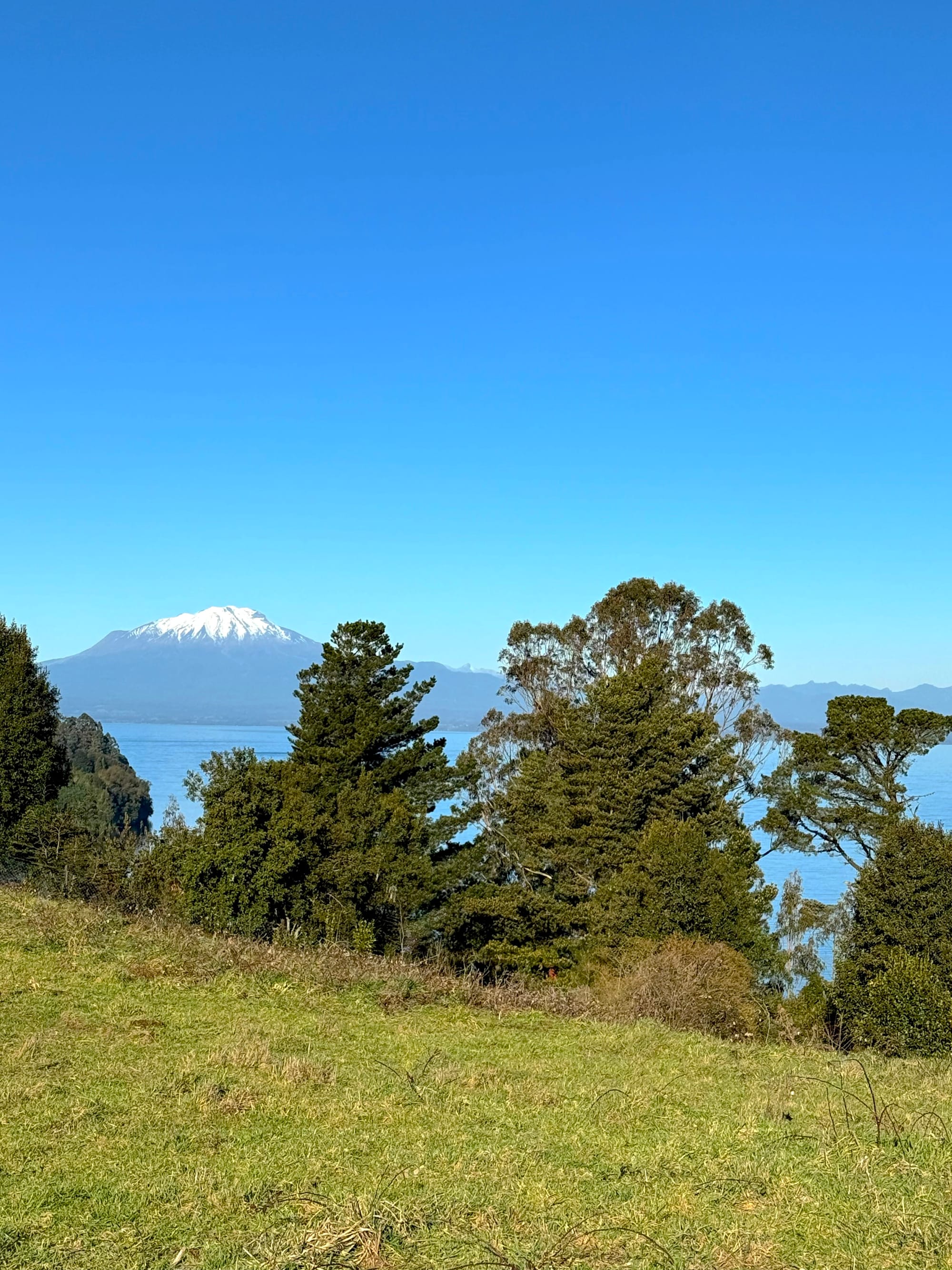 Parcela Bahía | Punta Larga