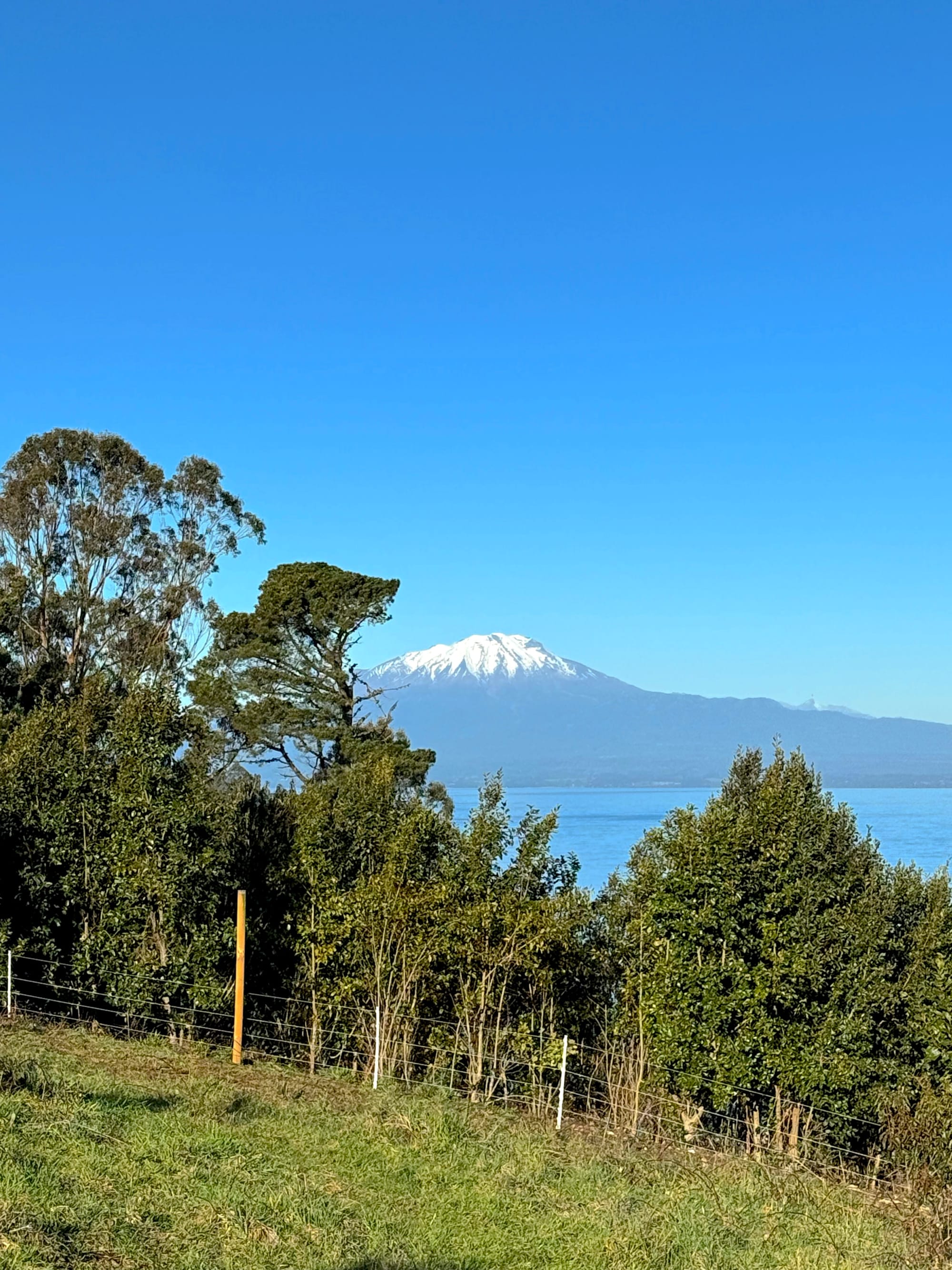 Parcela Bahía | Punta Larga