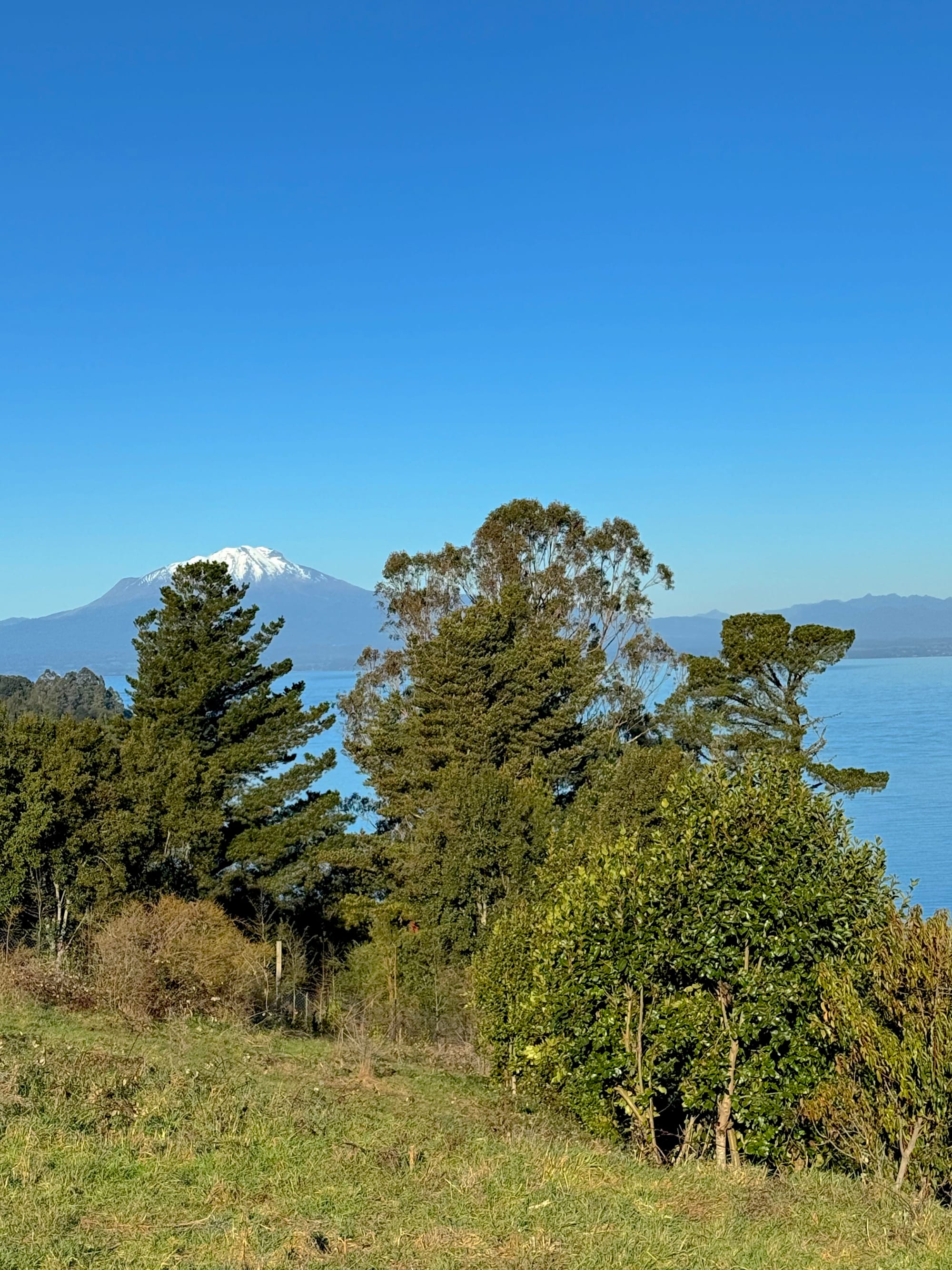 Parcela Bahía | Punta Larga
