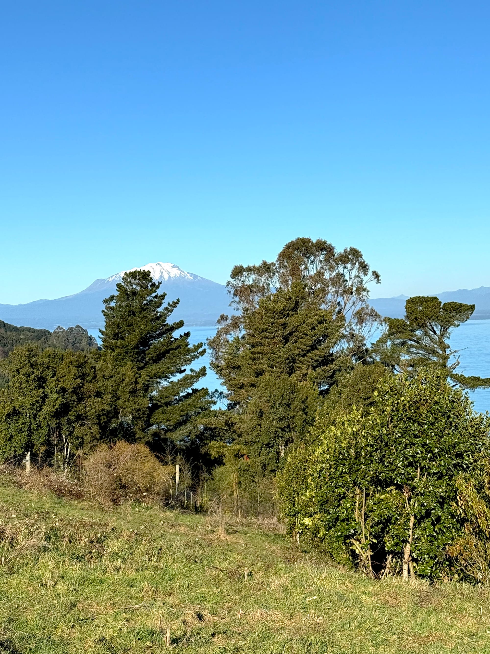 Parcela Bahía | Punta Larga