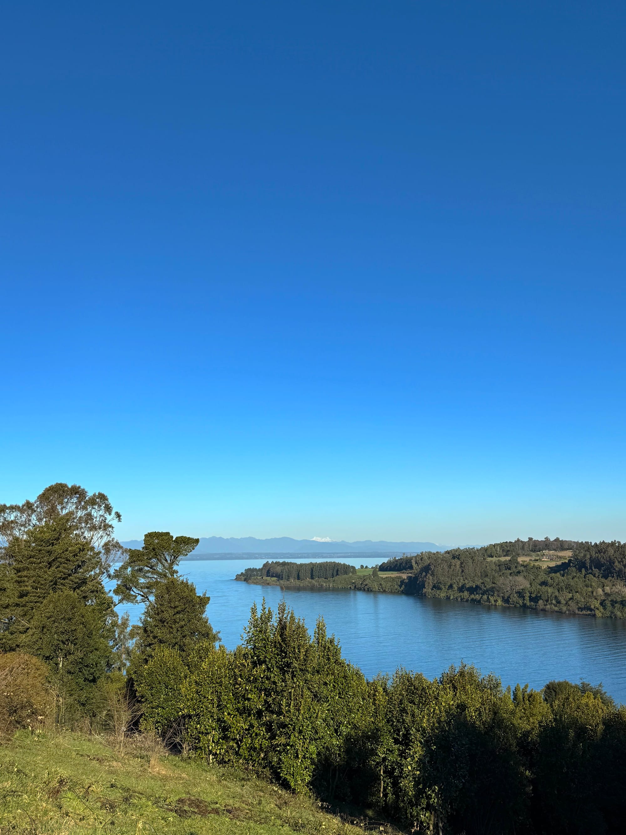 Parcela Bahía | Punta Larga