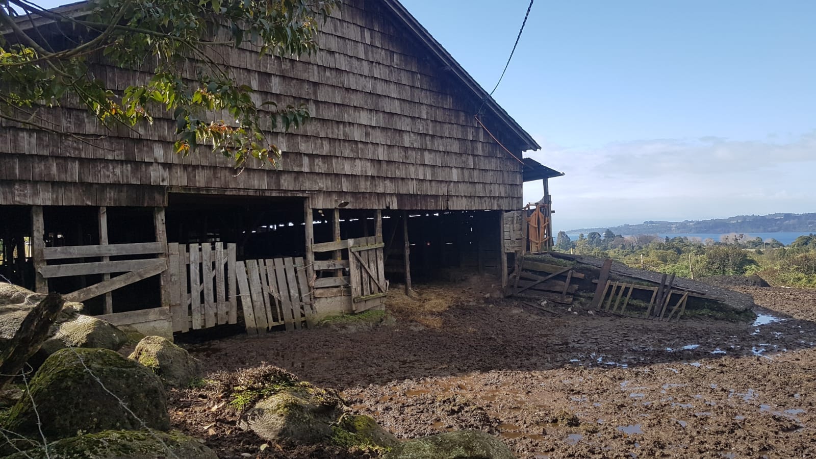 Habitar un galpón: cuidar el origen y renovar su interior.