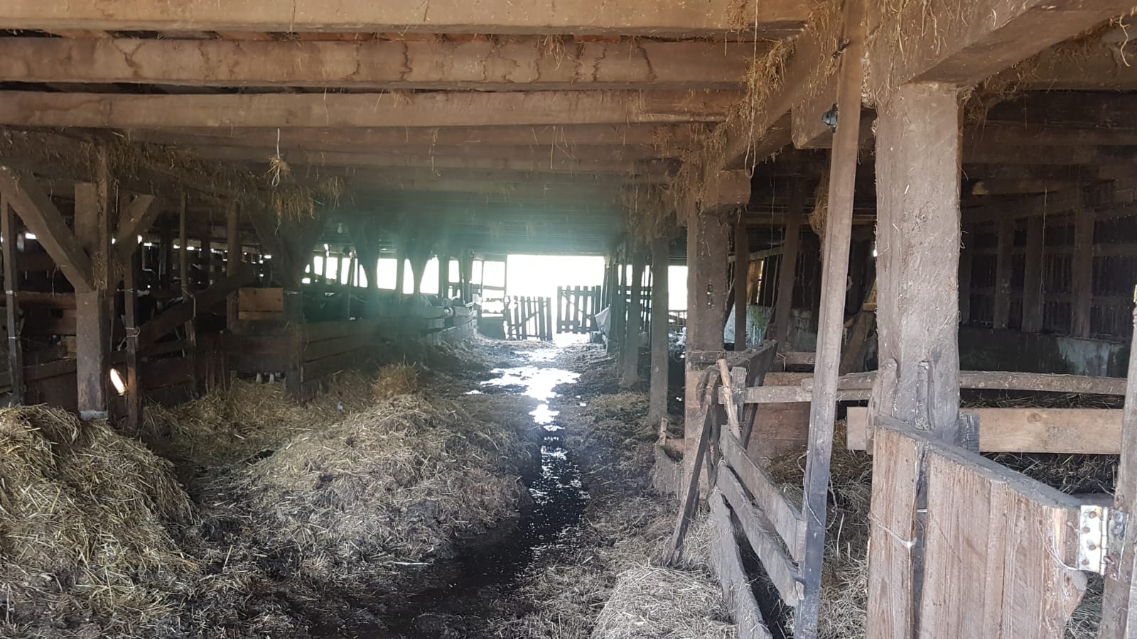 Habitar un galpón: cuidar el origen y renovar su interior.