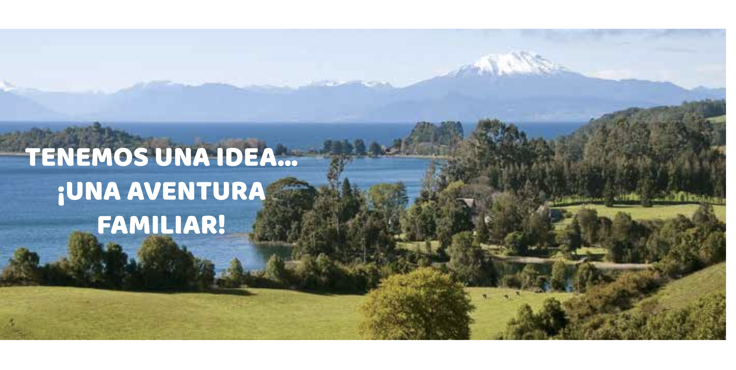 La Lira: la panadería artesanal que crece junto a un bosque nativo del sur.