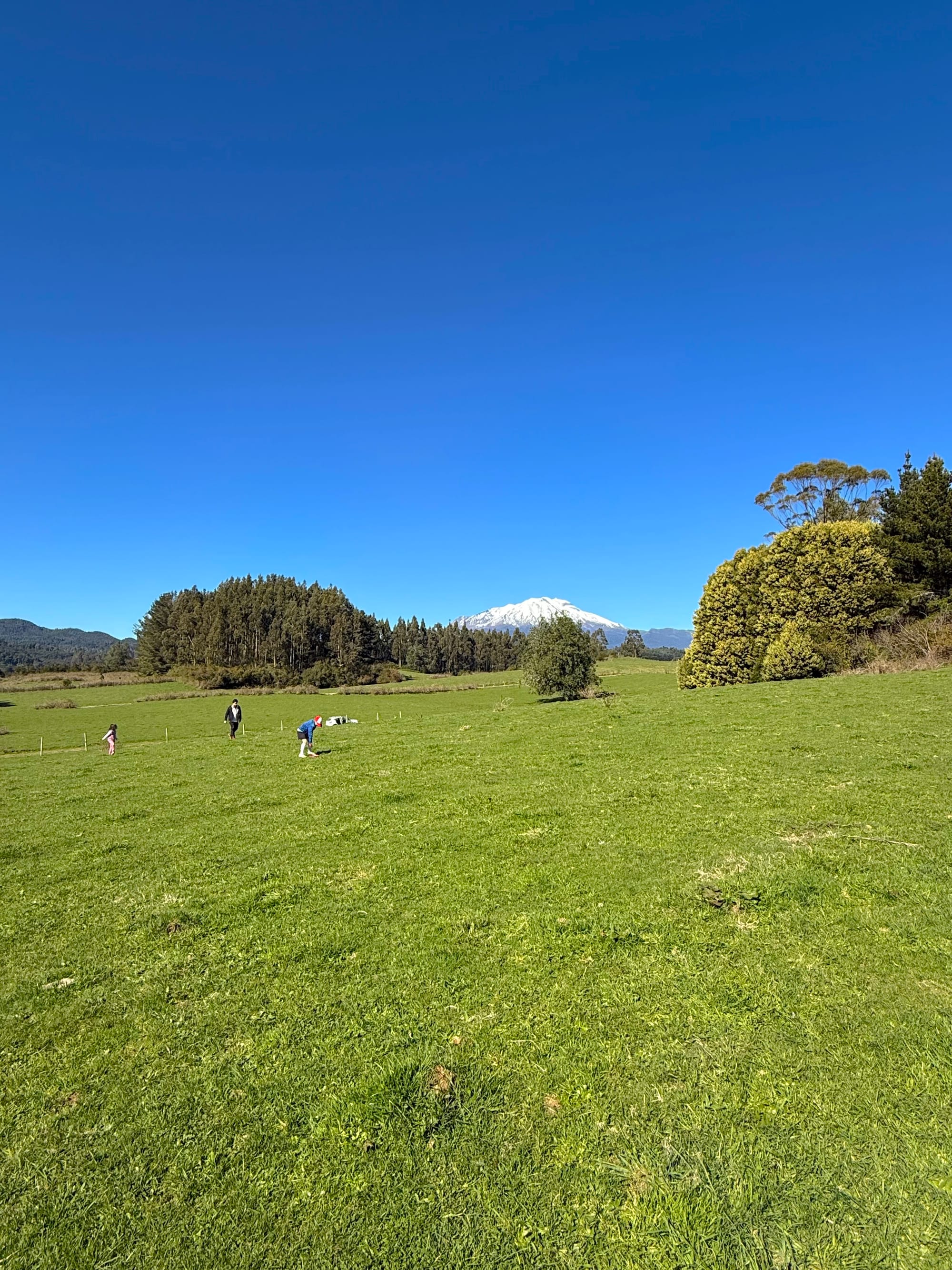 Parcela los Riscos | Puerto Varas