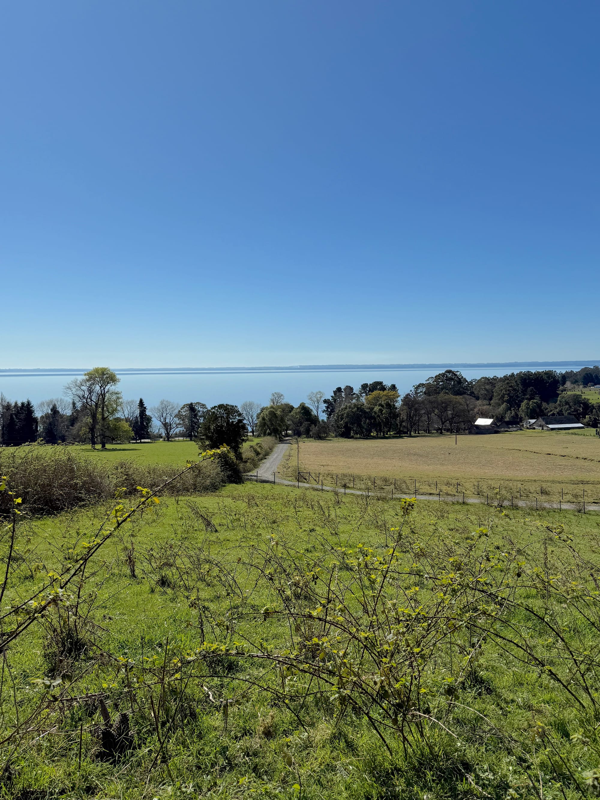 Parcela los Riscos | Puerto Varas