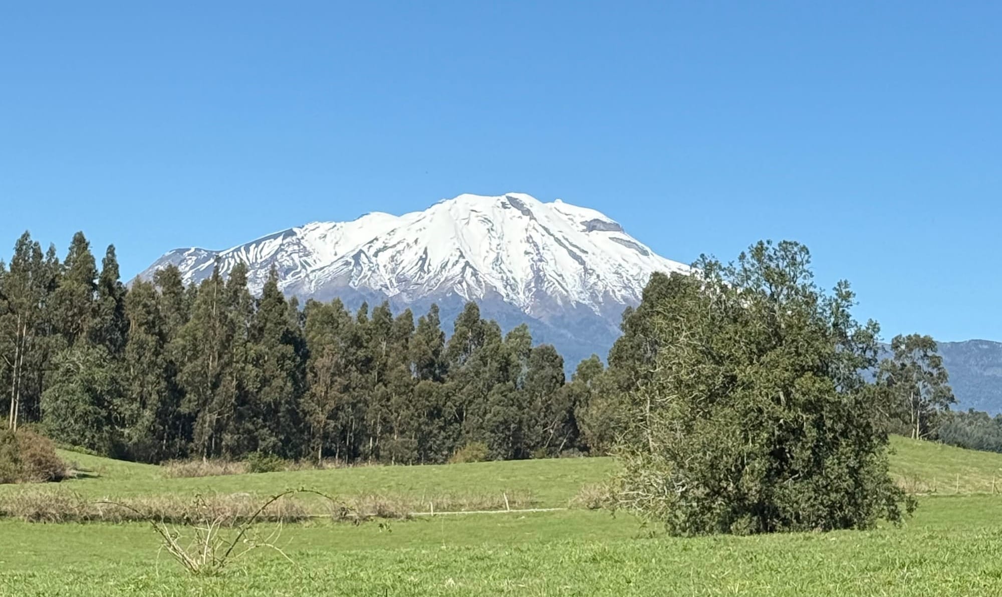 Parcela los Riscos | Puerto Varas