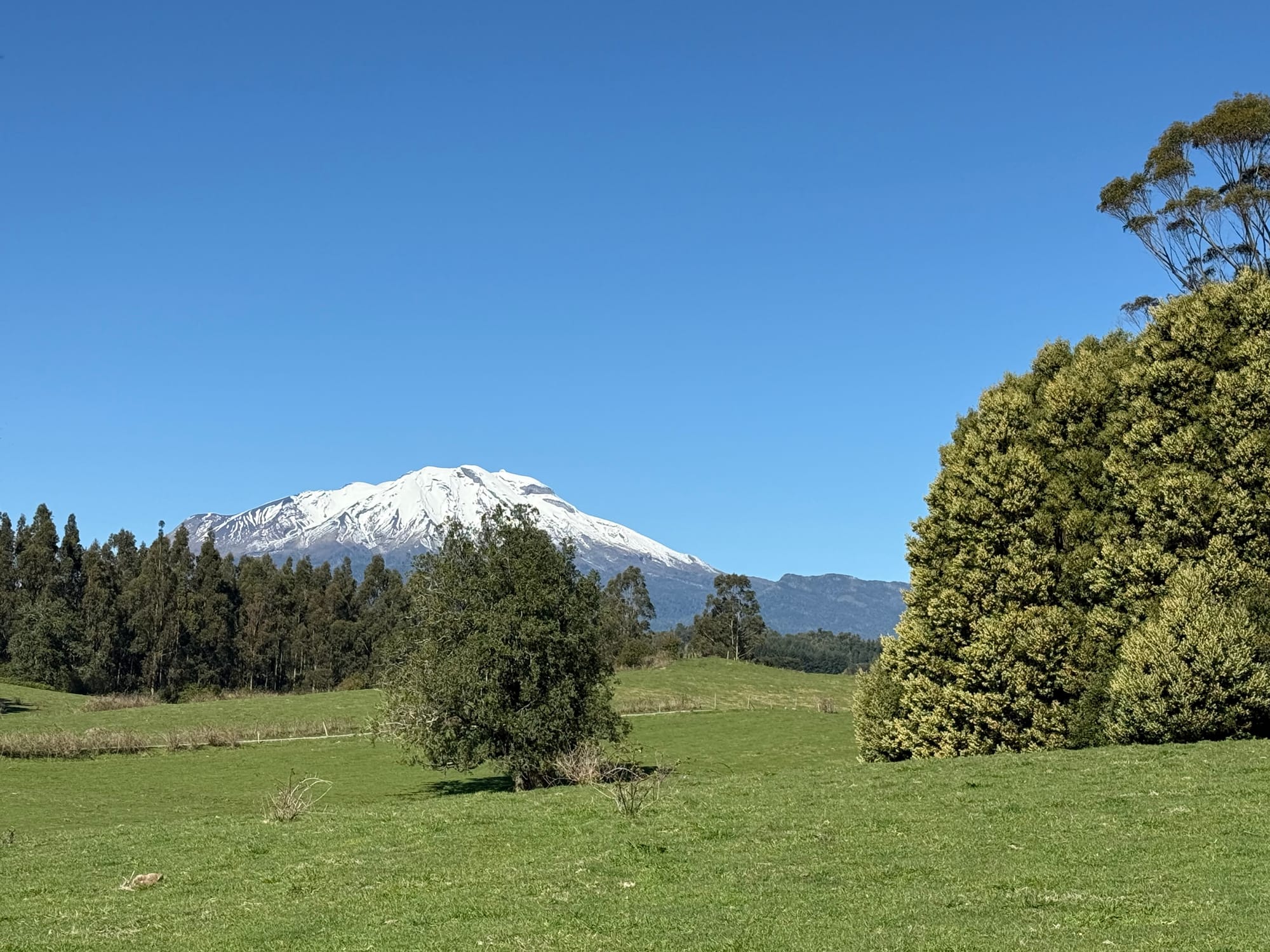Parcela los Riscos | Puerto Varas