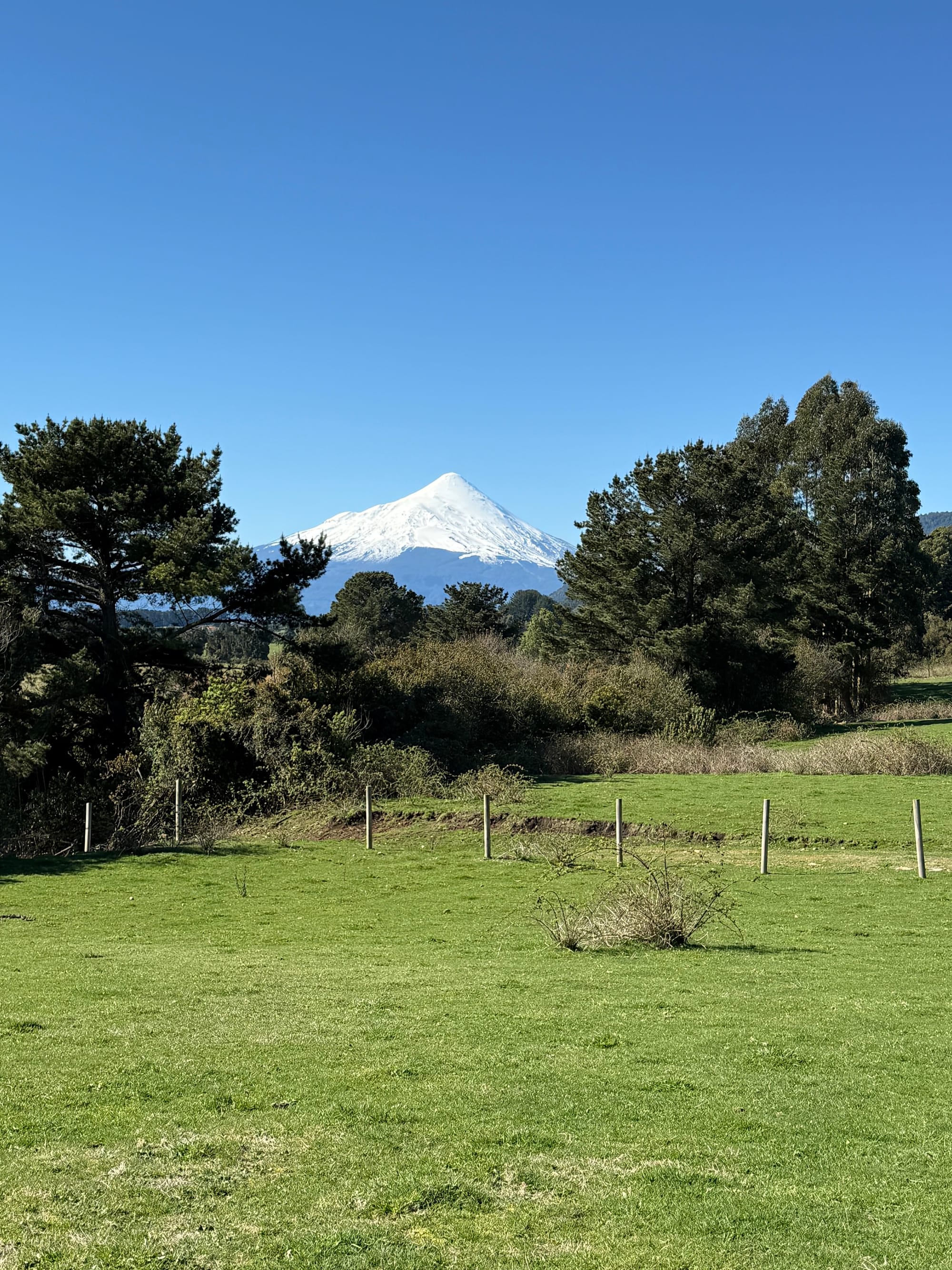 Parcela los Riscos | Puerto Varas