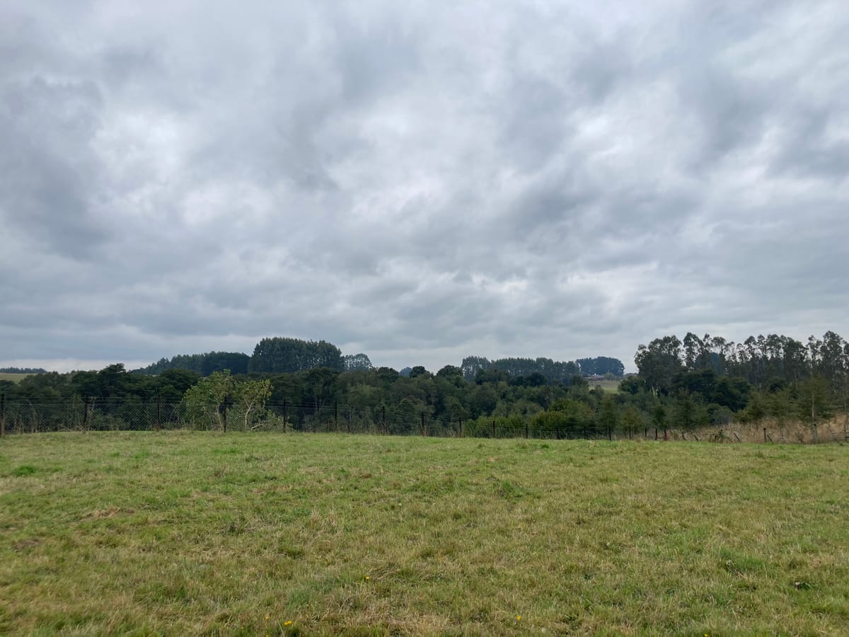 Parcela Vista al bosque | Quebrada Honda