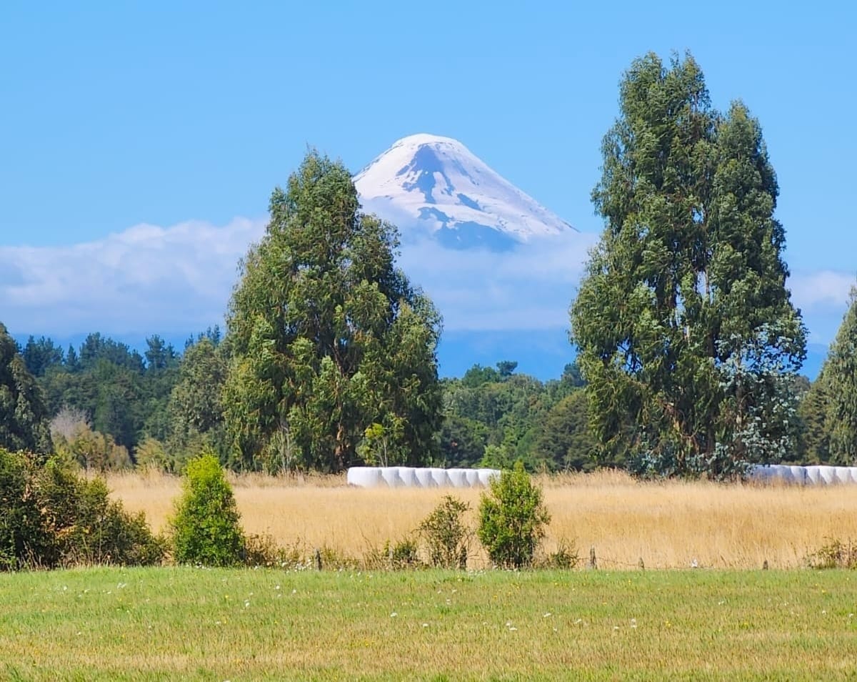 Parcela El Coihue | Frutillar