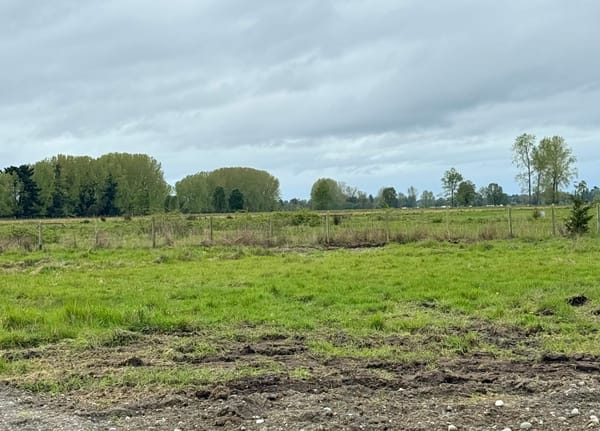 Parcela el Encanto | Frutillar