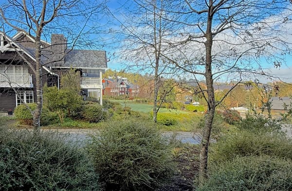 Piso Patagonia | Frutillar